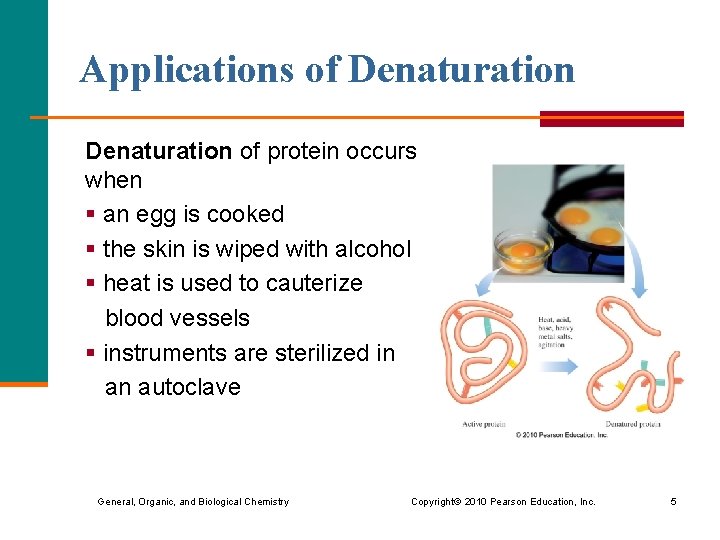Applications of Denaturation of protein occurs when § an egg is cooked § the