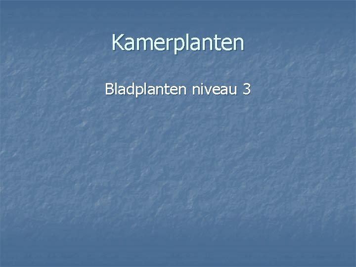Kamerplanten Bladplanten niveau 3 