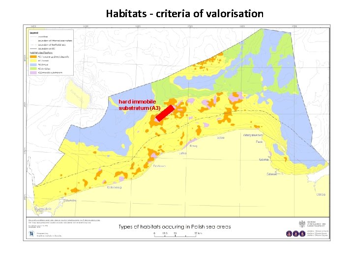 Habitats - criteria of valorisation hard immobile substratum (A 3) 