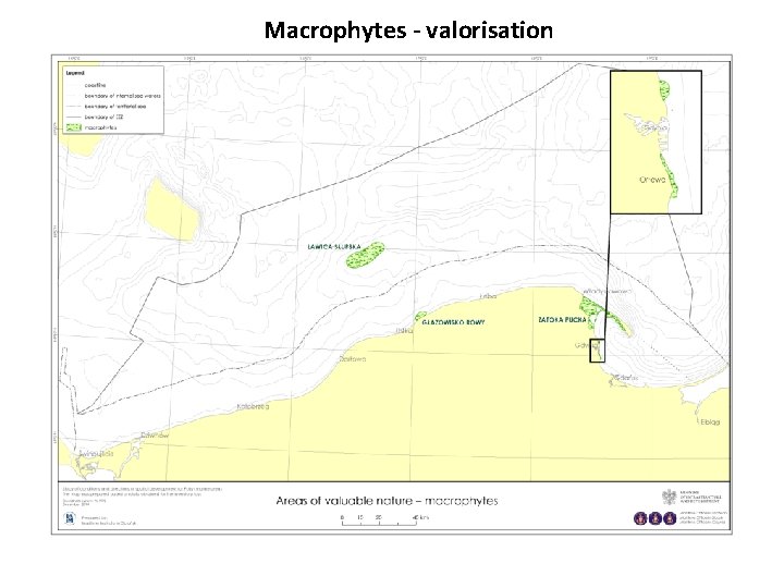 Macrophytes - valorisation 