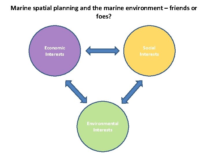 Marine spatial planning and the marine environment – friends or foes? Economic Interests Social