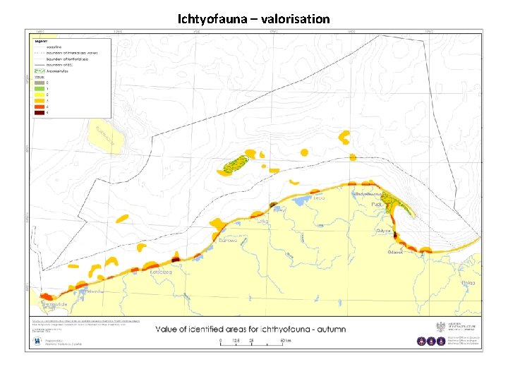 Ichtyofauna – valorisation 