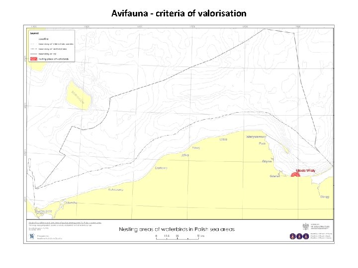 Avifauna - criteria of valorisation 