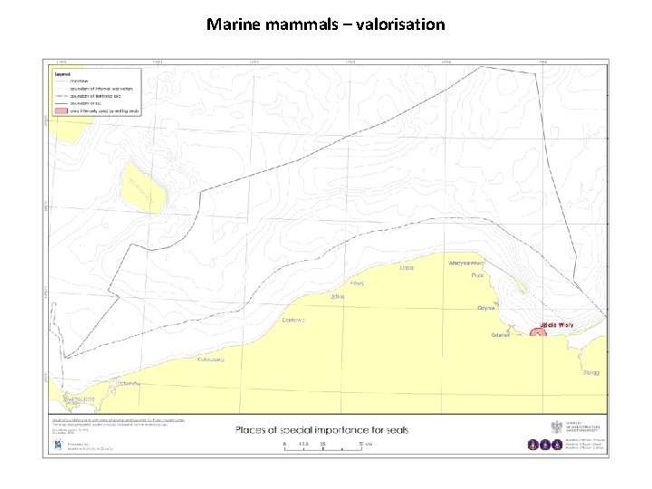 Marine mammals – valorisation 