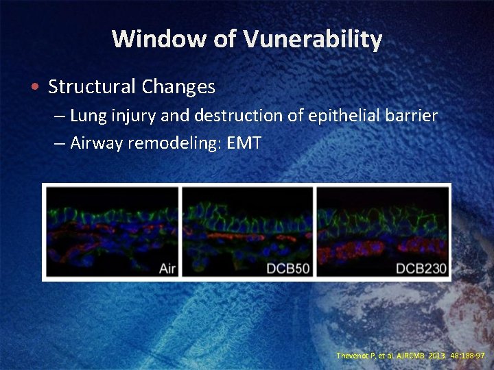 Window of Vunerability • Structural Changes – Lung injury and destruction of epithelial barrier