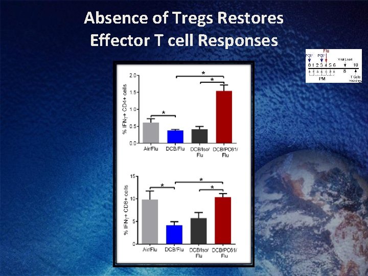 Absence of Tregs Restores Effector T cell Responses 