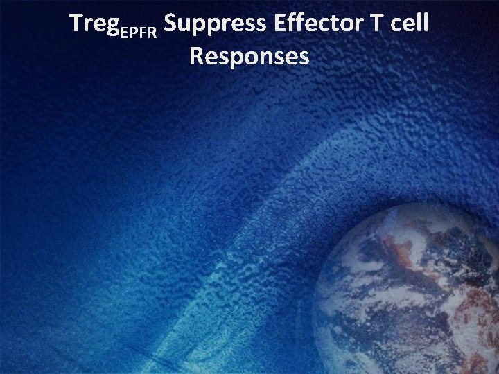 Treg. EPFR Suppress Effector T cell Responses 