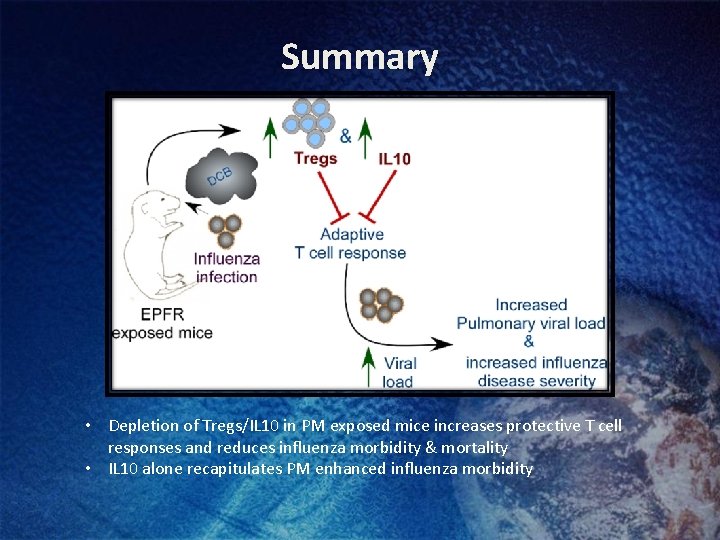 Summary • Depletion of Tregs/IL 10 in PM exposed mice increases protective T cell