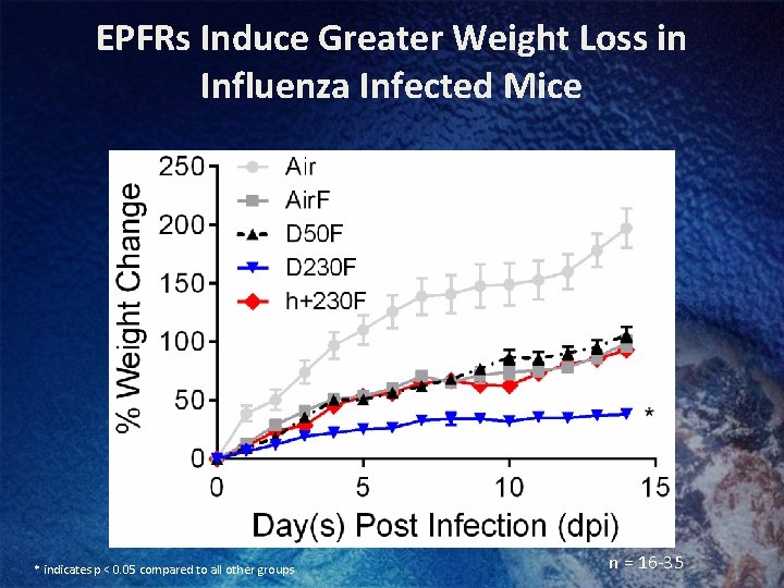 EPFRs Induce Greater Weight Loss in Influenza Infected Mice * indicates p < 0.