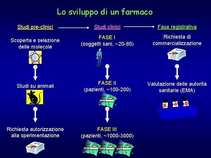 Lo sviluppo di un farmaco Studi pre-clinici Studi clinici Fase registrativa FASE I (soggetti