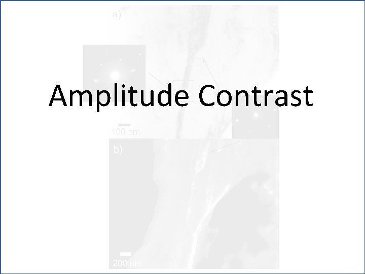 Amplitude Contrast 