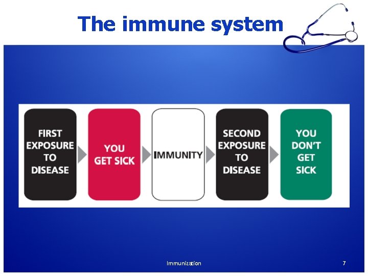 The immune system Immunization 7 The immune system Immunization 7