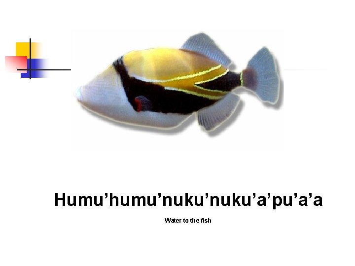 Humu’humu’nuku’a’pu’a’a Water to the fish Humu’humu’nuku’a’pu’a’a Water to the fish