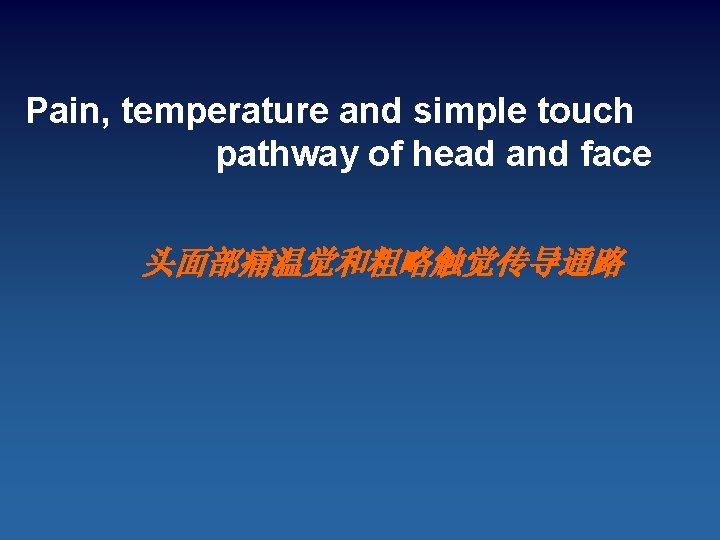 Pain, temperature and simple touch pathway of head and face 头面部痛温觉和粗略触觉传导通路 