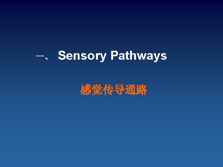 一、 Sensory Pathways 感觉传导通路 