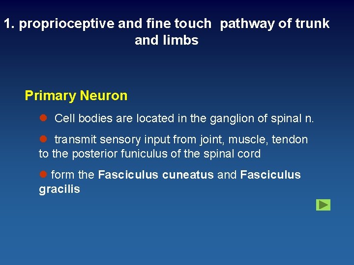 1. proprioceptive and fine touch pathway of trunk and limbs Primary Neuron l Cell