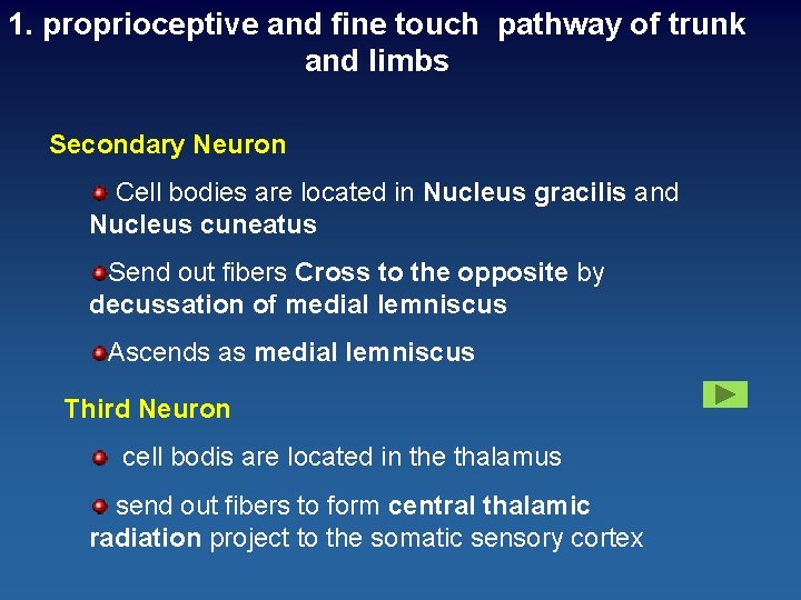 1. proprioceptive and fine touch pathway of trunk and limbs Secondary Neuron Cell bodies