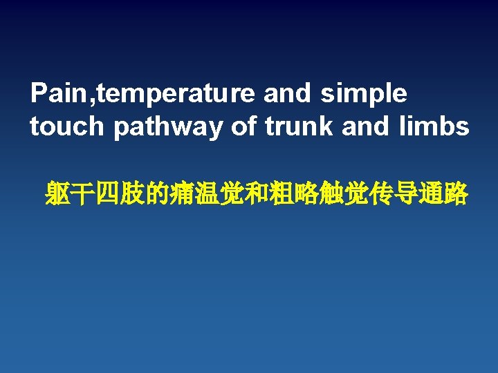 Pain, temperature and simple touch pathway of trunk and limbs 躯干四肢的痛温觉和粗略触觉传导通路 