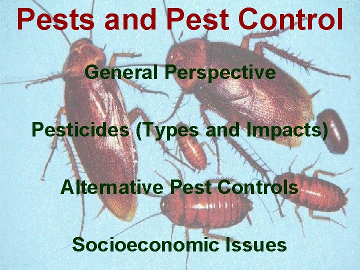 Pests and Pest Control General Perspective Pesticides (Types and Impacts) Alternative Pest Controls Socioeconomic