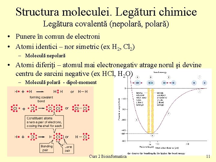 Structura moleculei. Legături chimice Legătura covalentă (nepolară, polară) • Punere în comun de electroni