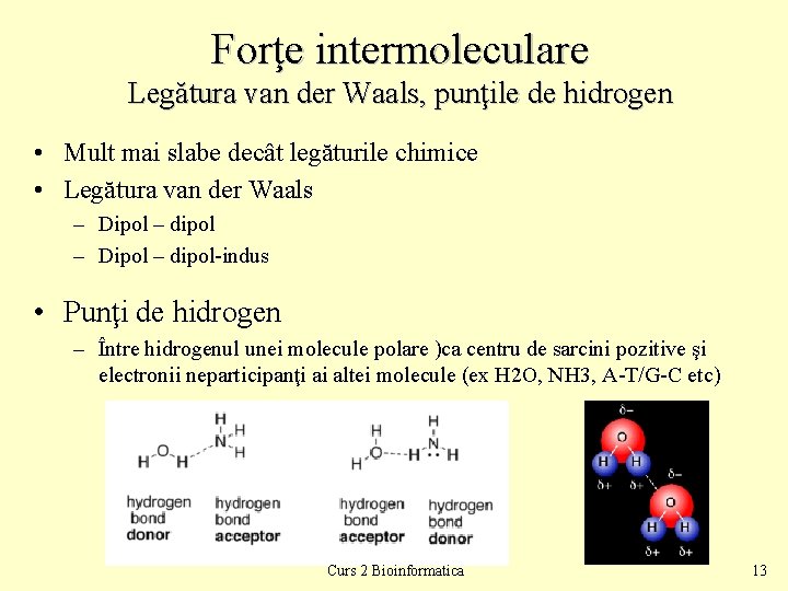 Forţe intermoleculare Legătura van der Waals, punţile de hidrogen • Mult mai slabe decât