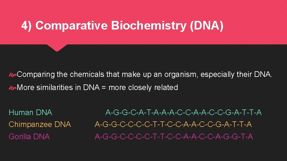 4) Comparative Biochemistry (DNA) Comparing the chemicals that make up an organism, especially their