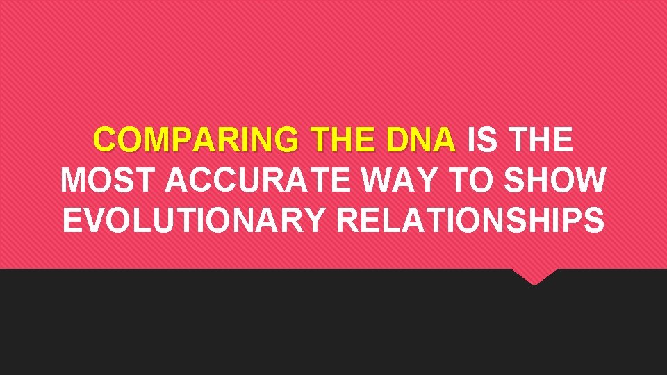 COMPARING THE DNA IS THE MOST ACCURATE WAY TO SHOW EVOLUTIONARY RELATIONSHIPS 