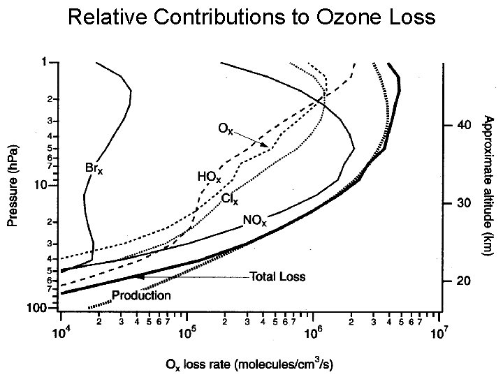 Relative Contributions to Ozone Loss 