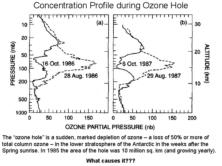 Concentration Profile during Ozone Hole The “ozone hole” is a sudden, marked depletion of