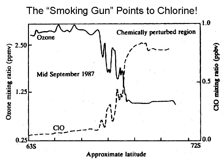 The “Smoking Gun” Points to Chlorine! 