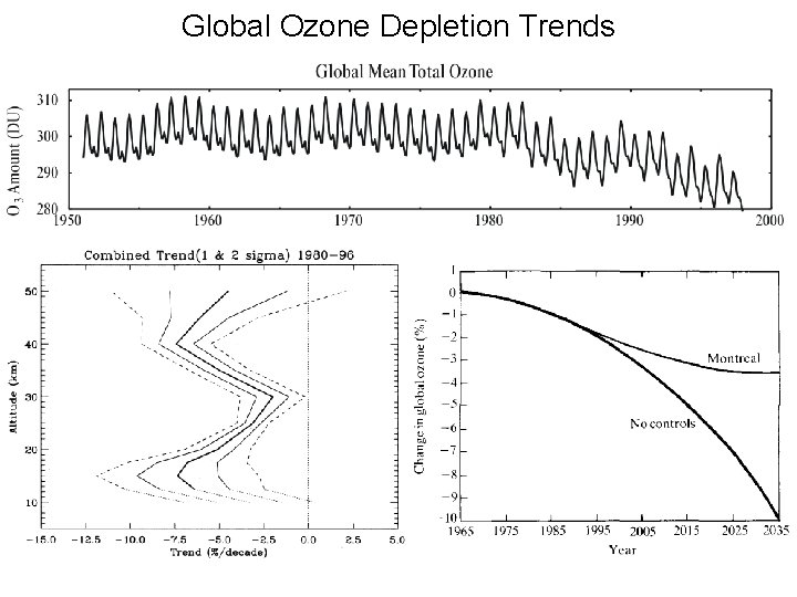Global Ozone Depletion Trends 