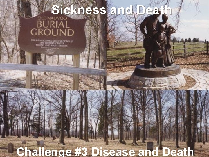 Sickness and Death Challenge #3 Disease and Death 
