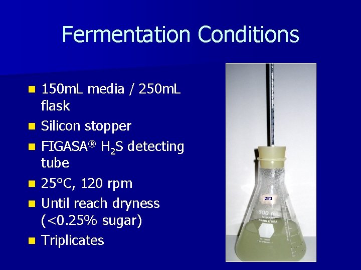 Fermentation Conditions n n n 150 m. L media / 250 m. L flask