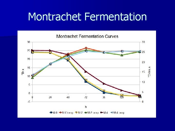 Montrachet Fermentation 