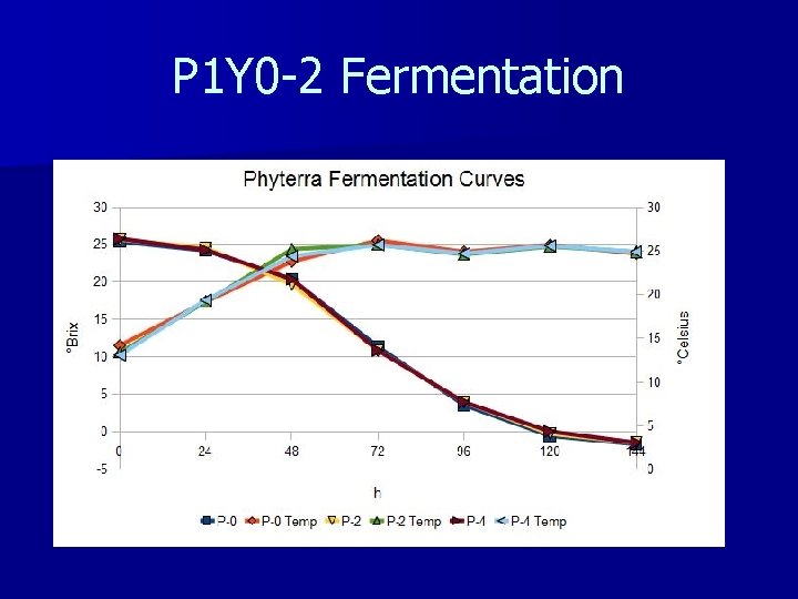 P 1 Y 0 -2 Fermentation 