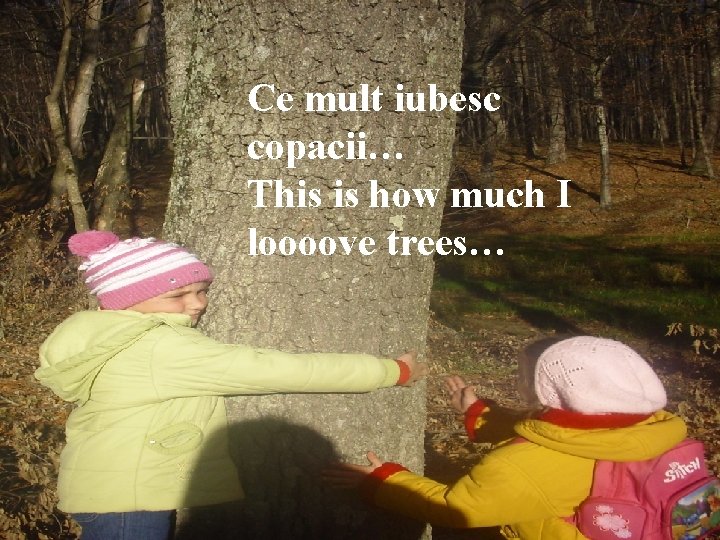 Ce mult iubesc copacii… This is how much I loooove trees… 