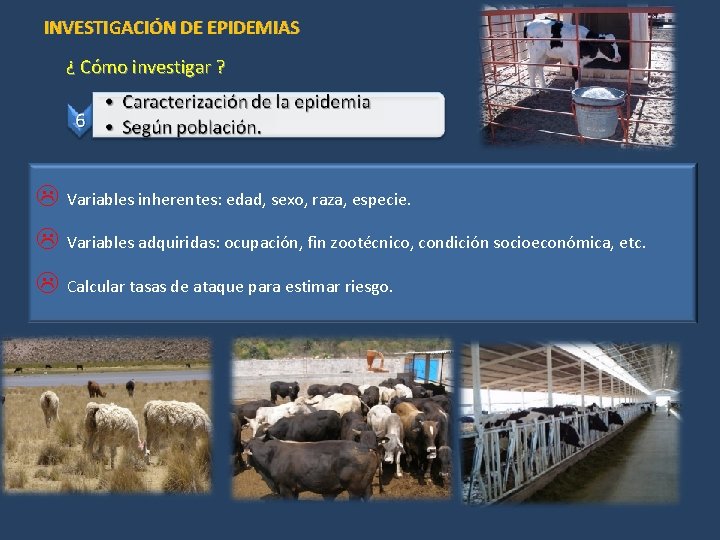 INVESTIGACIÓN DE EPIDEMIAS ¿ Cómo investigar ? L Variables inherentes: edad, sexo, raza, especie.