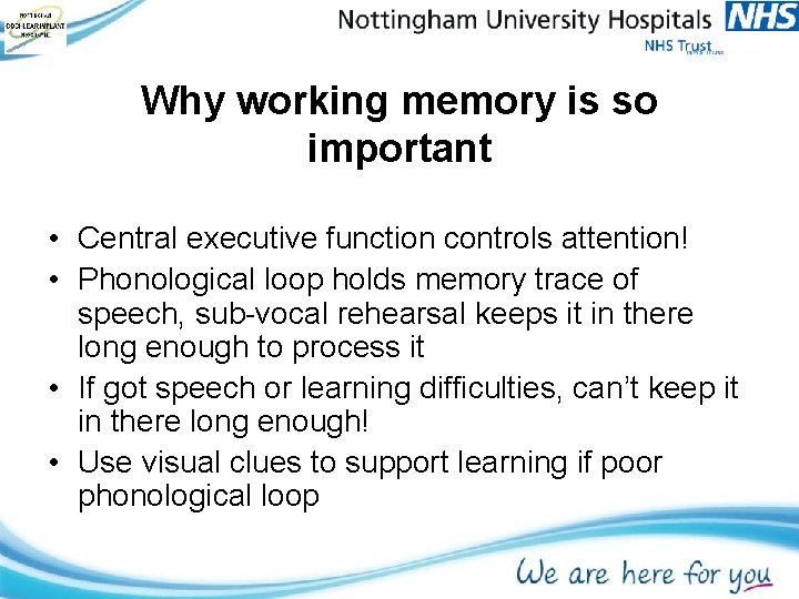 Why working memory is so important • Central executive function controls attention! • Phonological