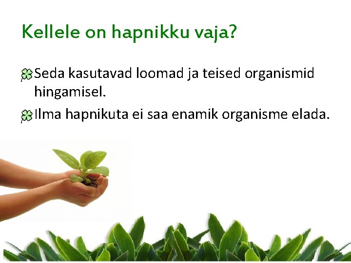 Kellele on hapnikku vaja? Seda kasutavad loomad ja teised organismid hingamisel. Ilma hapnikuta ei