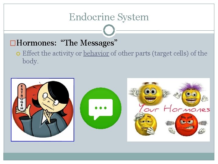 Endocrine System �Hormones: “The Messages” Effect the activity or behavior of other parts (target