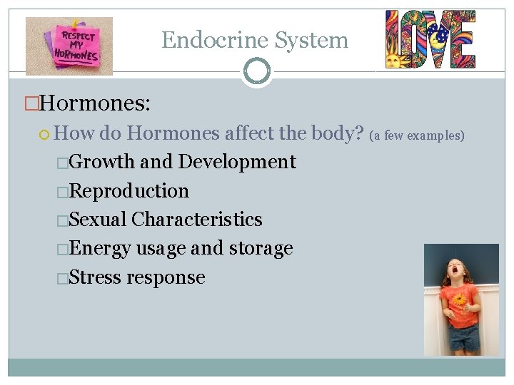 Endocrine System �Hormones: How do Hormones affect the body? (a few examples) �Growth and