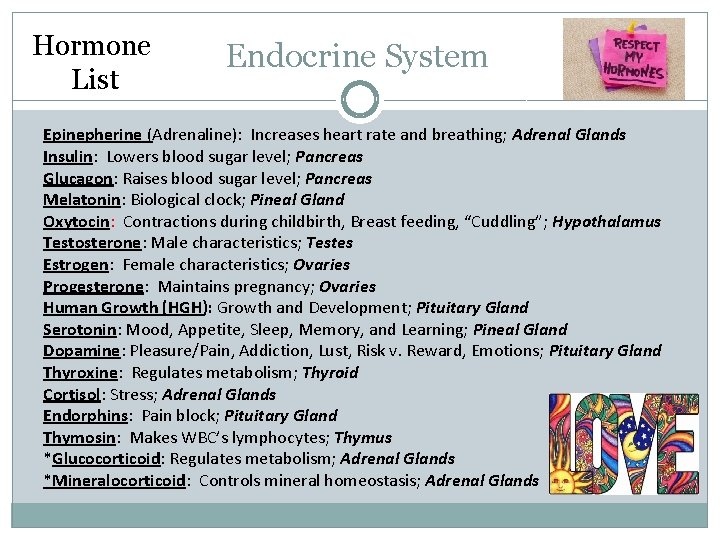 Hormone List Endocrine System Epinepherine (Adrenaline): Increases heart rate and breathing; Adrenal Glands Insulin: