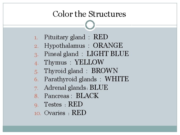 Color the Structures 1. 2. 3. 4. 5. 6. 7. 8. 9. 10. Pituitary