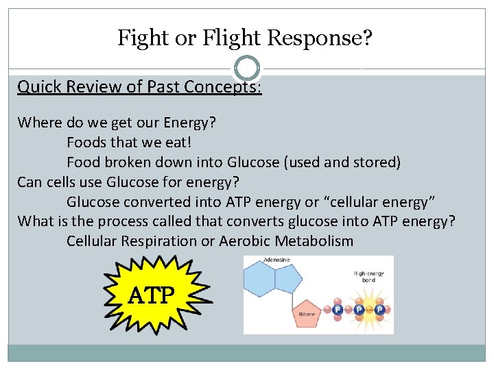 Fight or Flight Response? Quick Review of Past Concepts: Where do we get our
