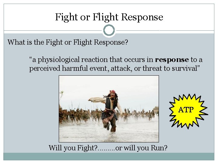 Fight or Flight Response What is the Fight or Flight Response? “a physiological reaction