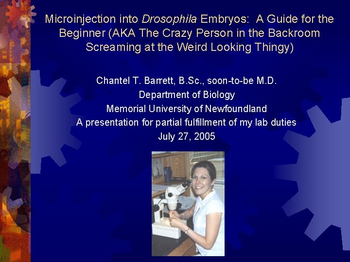 Microinjection into Drosophila Embryos: A Guide for the Beginner (AKA The Crazy Person in