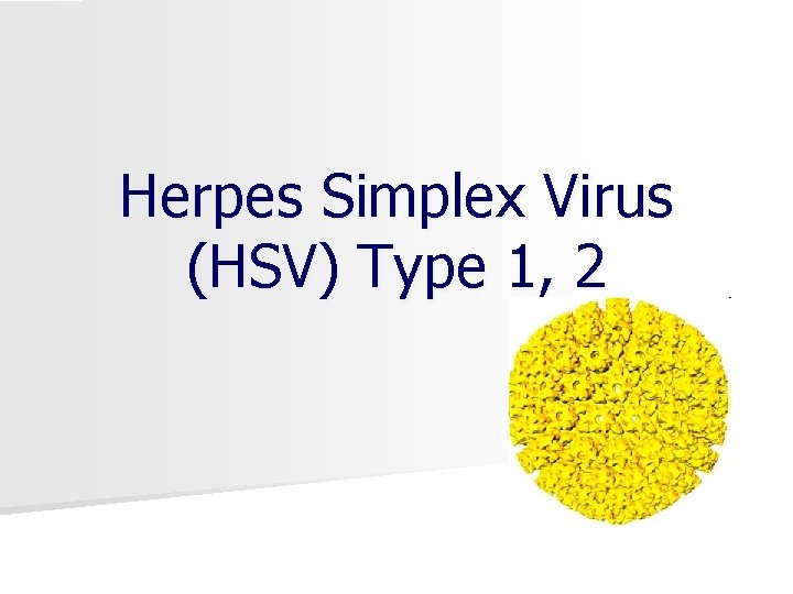 Herpes Simplex Virus (HSV) Type 1, 2 