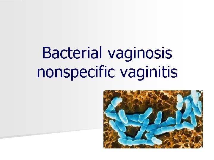 Bacterial vaginosis nonspecific vaginitis 