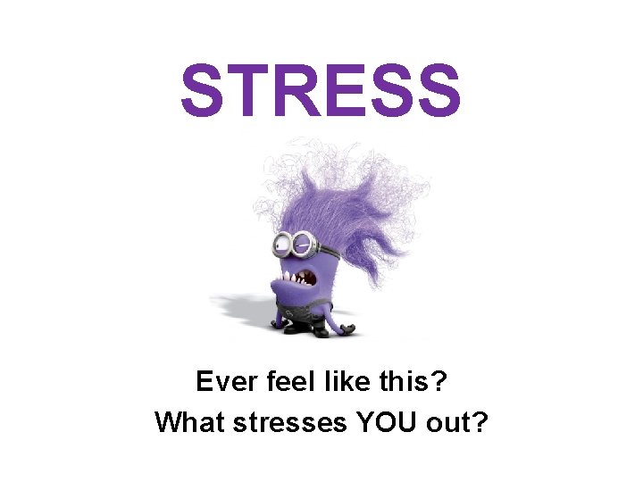 STRESS Ever feel like this? What stresses YOU out? 