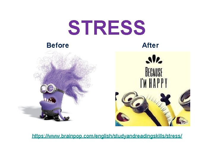 STRESS Before After https: //www. brainpop. com/english/studyandreadingskills/stress/ 
